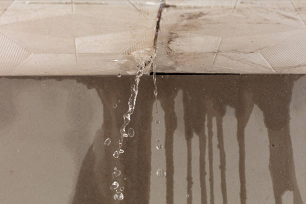 Professional Water Damage Repair technician working in Iselin, NJ